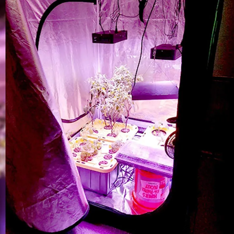 Grow Tent 4X4 - Nuova Tendenza: Tenda per Coltivazione Indoor