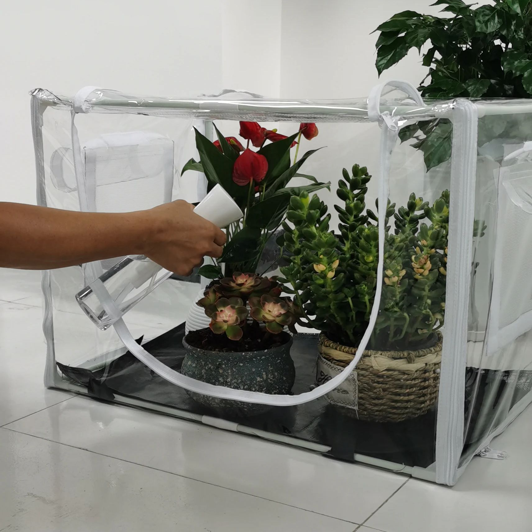 Serra compatta per interni/est - Grow Tent 4X4 recensione e prezzo